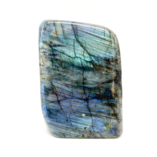 LABRADOODLE POLISHED TUMBLE