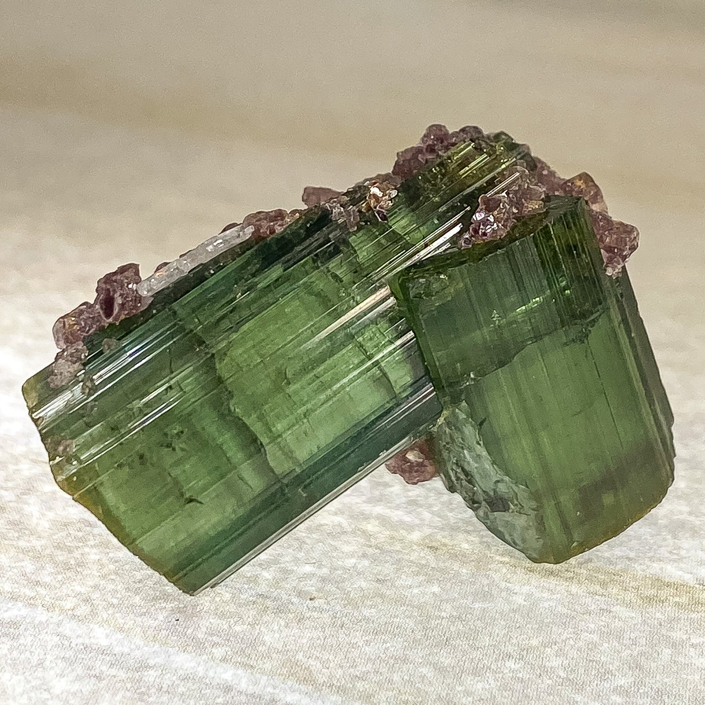 27 X 20 MM WATERMELON TOURMALINE RAW SPECIMEN