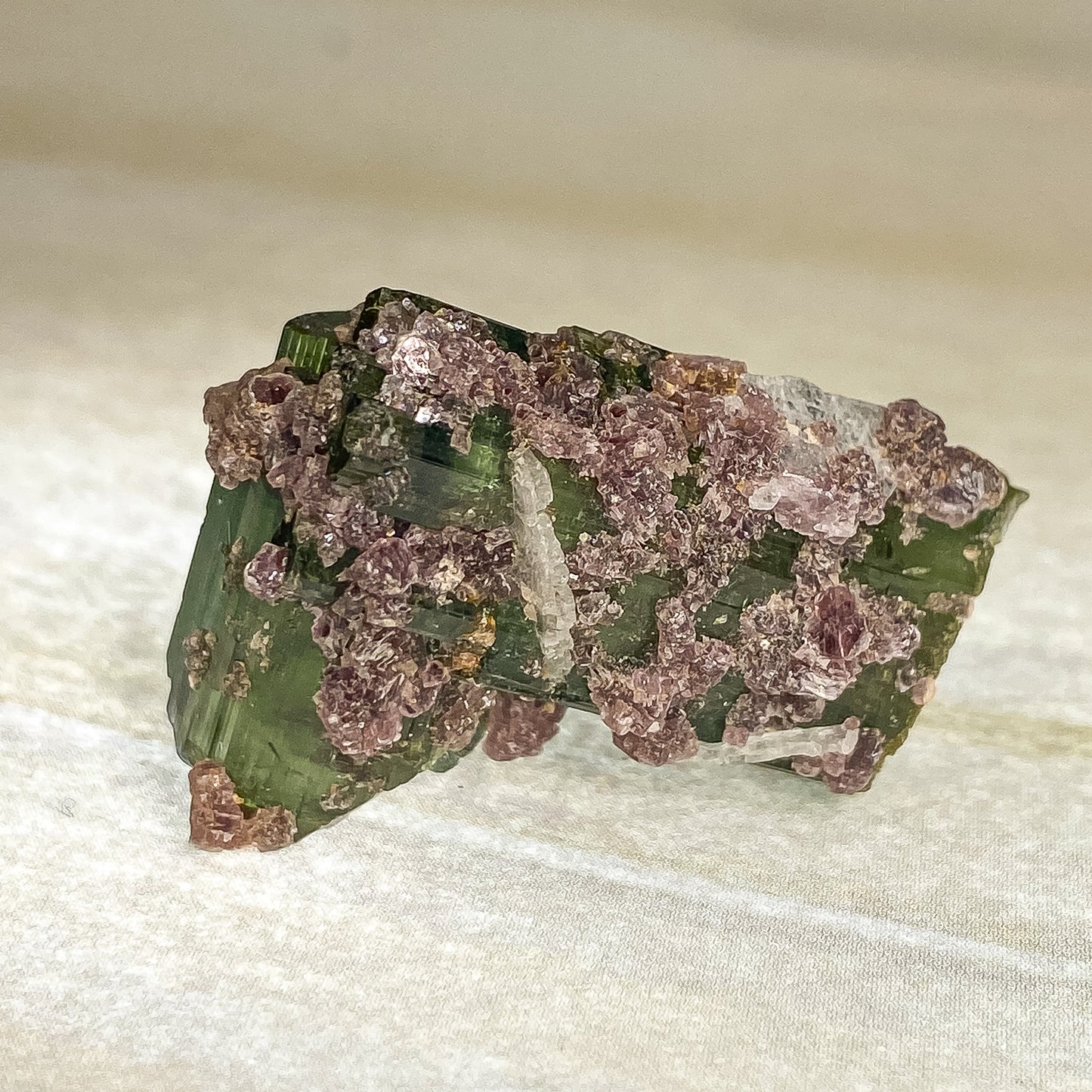 27 X 20 MM WATERMELON TOURMALINE RAW SPECIMEN