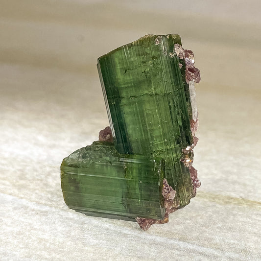 27 X 20 MM WATERMELON TOURMALINE RAW SPECIMEN