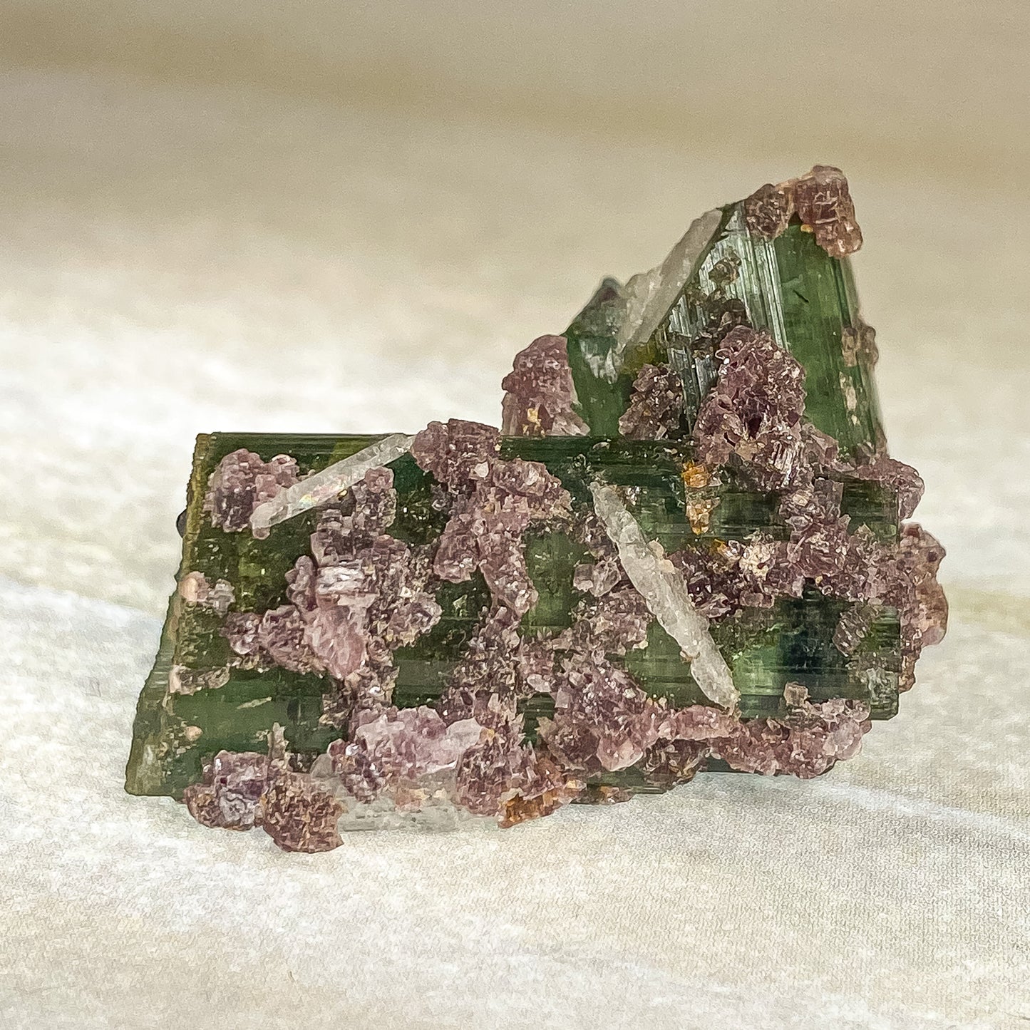 27 X 20 MM WATERMELON TOURMALINE RAW SPECIMEN