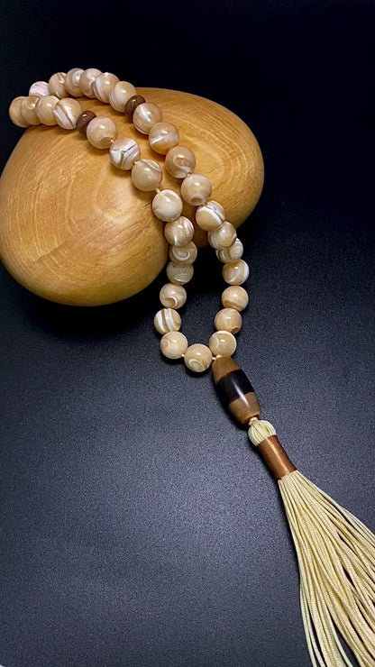 10MM MOTHER OF PEARL WITH MEDICINE DZI PRAYER BEADS