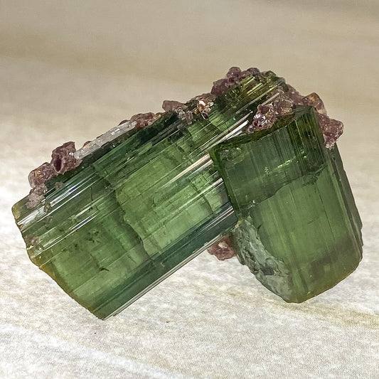 27 X 20 MM WATERMELON TOURMALINE RAW SPECIMEN