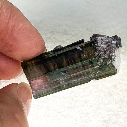 14 X 45 MM WATERMELON TOURMALINE WAND SPECIMEN